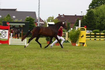 Bild 93 - Elmshorn am 9.6.10